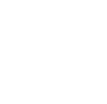 Tiger Blindadora